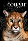 Cougar® 70lb Text