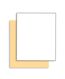 Singles Coated Front 105 lb. Tag Carbonless Paper