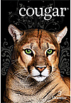 Cougar® 60lb Text