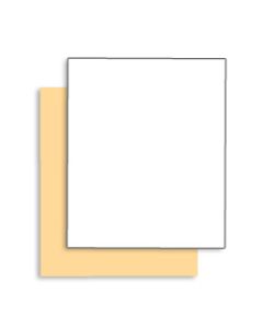 Singles Coated Front 105 lb. Tag Carbonless Paper