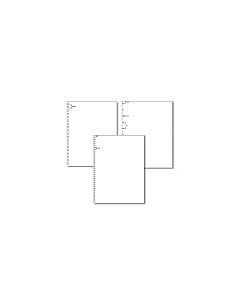 Special Bindery & Publishing Punched Formats